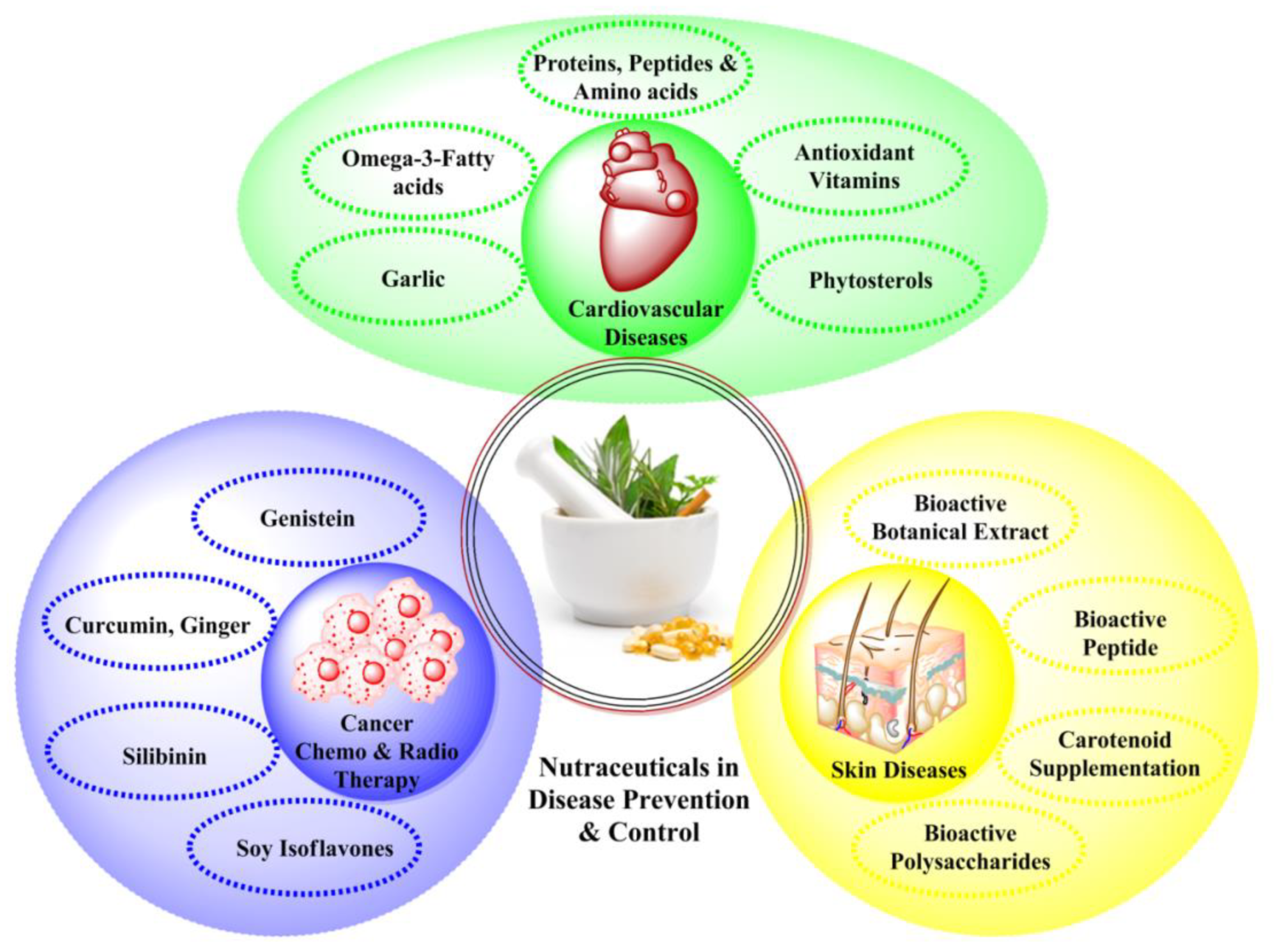 Understanding nutraceuticals for preventive healthcare